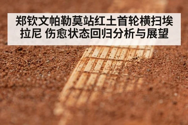 郑钦文帕勒莫站红土首轮横扫埃拉尼 伤愈状态回归分析与展望